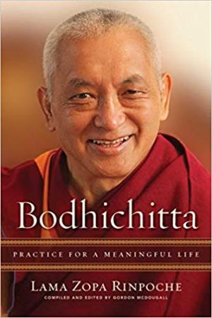 Bodhichitta: Practice for a Meaningful Life